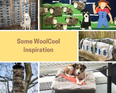 Wool Cool project inspiration from Butternut Dog Food.