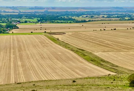 Views over Pewsey Downs from Alton Barnes White Horse