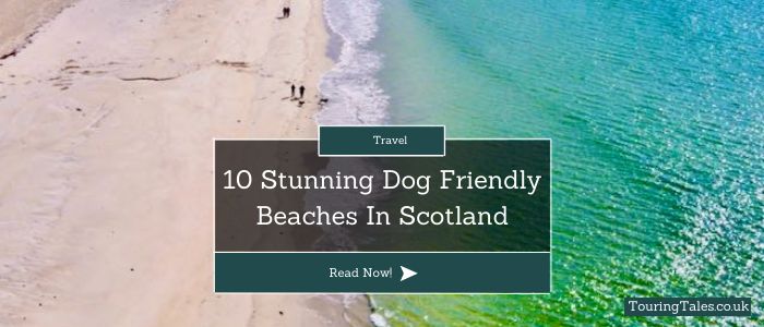 10 stunning Dog friendly beaches Scotland