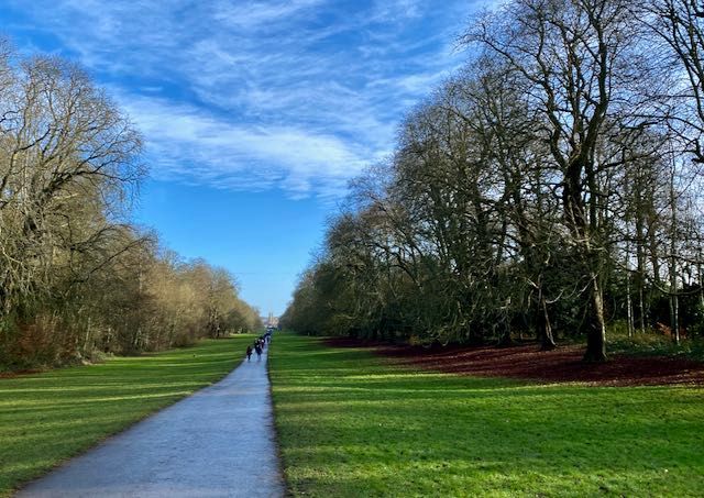 Take a Walk Around Cirencester Park dog friendly cotswolds